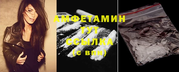 тгк Лагань