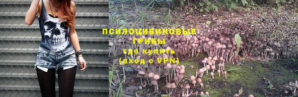 каннабис Ладушкин