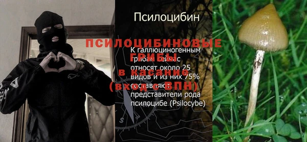 каннабис Ладушкин