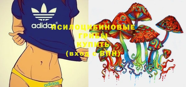 тгк Лагань