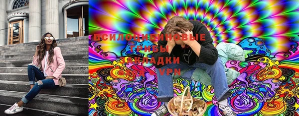 тгк Лагань